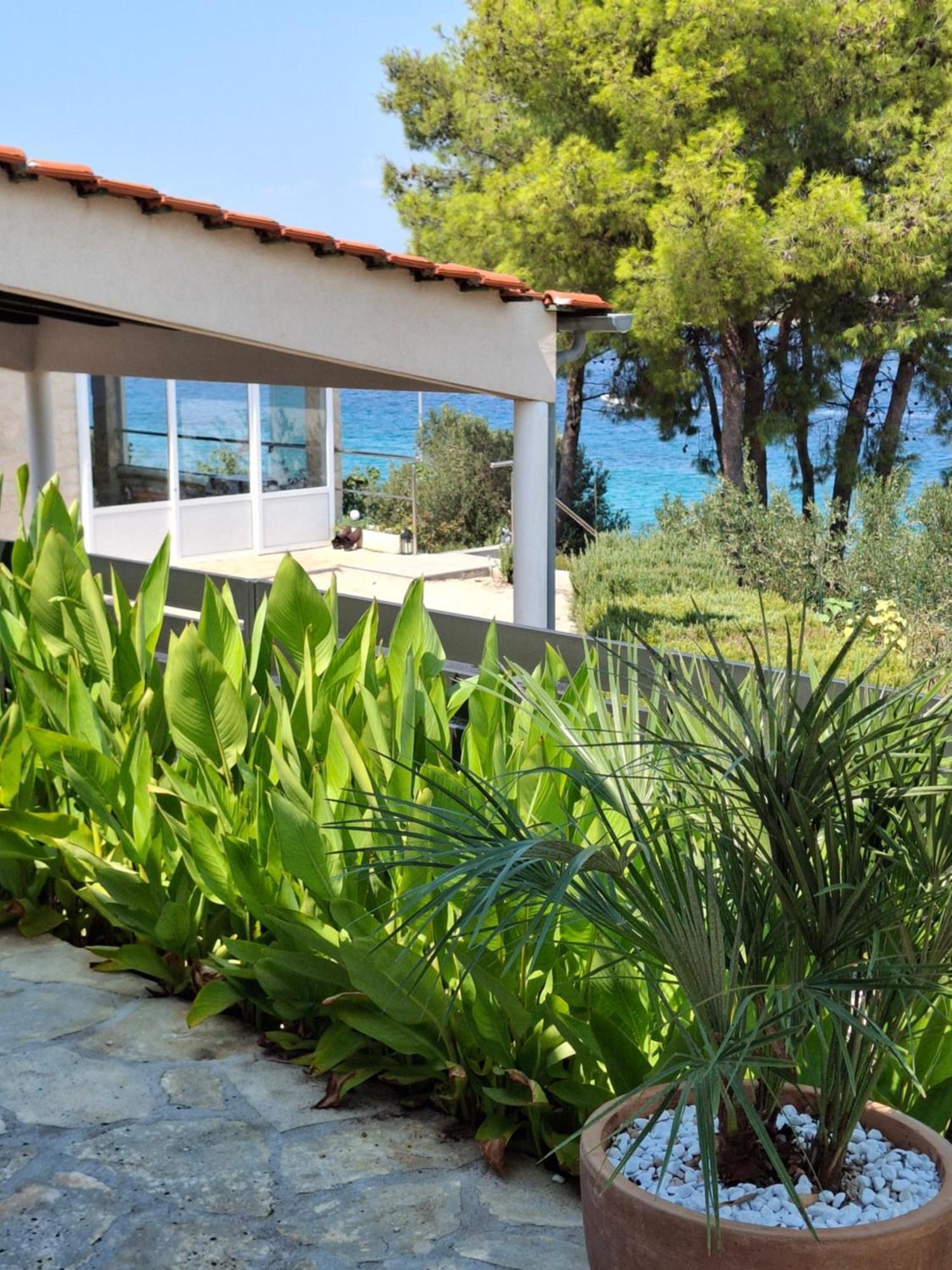 Villa Gjardini - Sparadici Grebaštica Exterior foto